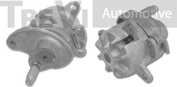 Trevi Automotive TA1475 - Tendicinghia, Cinghia Poly-V autozon.pro