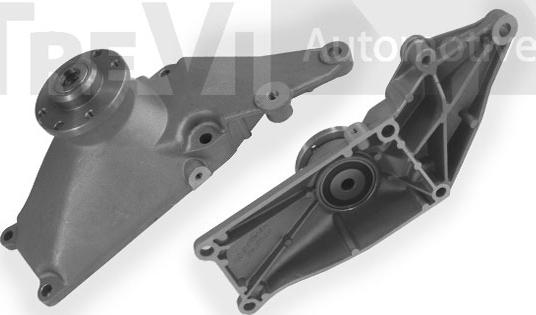 Trevi Automotive TA1532 - Tendicinghia, Cinghia Poly-V autozon.pro