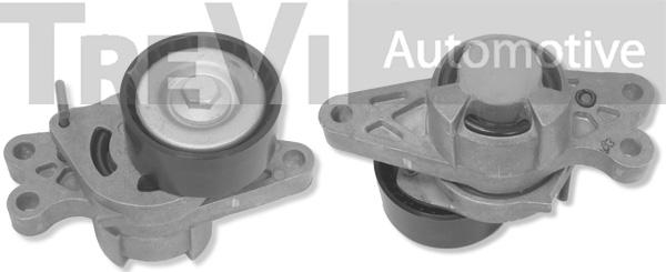 Trevi Automotive TA1694 - Tendicinghia, Cinghia Poly-V autozon.pro