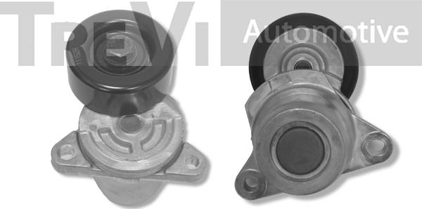 Trevi Automotive TA1646 - Tendicinghia, Cinghia Poly-V autozon.pro