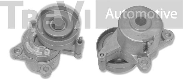 Trevi Automotive TA1643 - Tendicinghia, Cinghia Poly-V autozon.pro