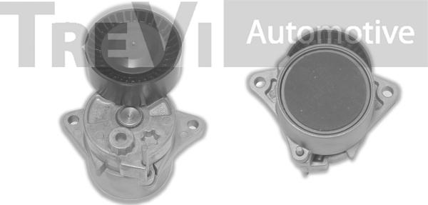 Trevi Automotive TA1616 - Tendicinghia, Cinghia Poly-V autozon.pro