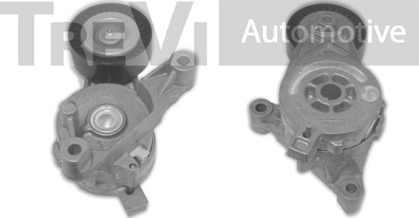 Trevi Automotive TA1617 - Tendicinghia, Cinghia Poly-V autozon.pro