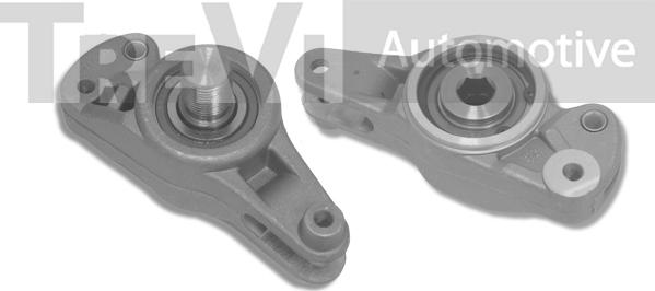 Trevi Automotive TA1079 - Tendicinghia, Cinghia Poly-V autozon.pro