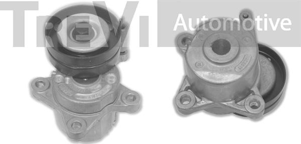 Trevi Automotive TA1165 - Tendicinghia, Cinghia Poly-V autozon.pro