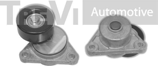 Trevi Automotive TA1806 - Tendicinghia, Cinghia Poly-V autozon.pro