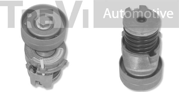 Trevi Automotive TA1814 - Tendicinghia, Cinghia Poly-V autozon.pro