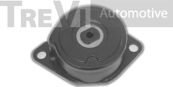 Trevi Automotive TA1811 - Tendicinghia, Cinghia Poly-V autozon.pro