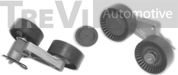 Trevi Automotive TA1345 - Tendicinghia, Cinghia Poly-V autozon.pro