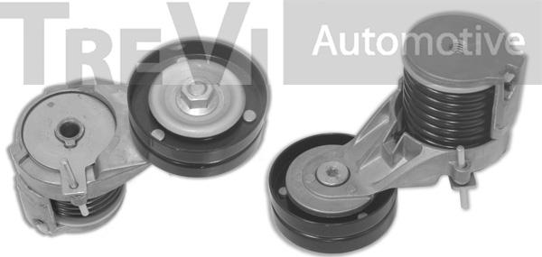 Trevi Automotive TA1246 - Tendicinghia, Cinghia Poly-V autozon.pro