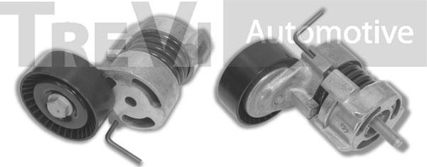 Trevi Automotive TA1741 - Tendicinghia, Cinghia Poly-V autozon.pro