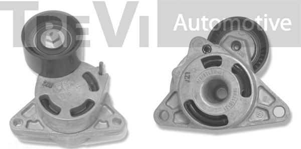 Trevi Automotive TA1725 - Tendicinghia, Cinghia Poly-V autozon.pro