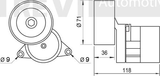 Trevi Automotive TA1720 - Tendicinghia, Cinghia Poly-V autozon.pro