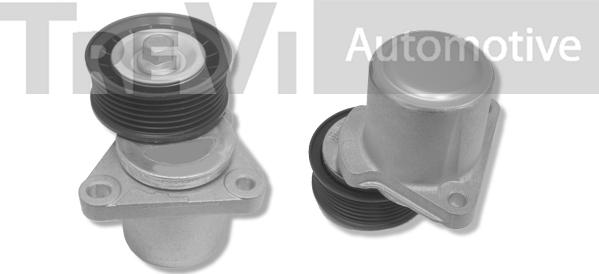 Trevi Automotive TA1722 - Tendicinghia, Cinghia Poly-V autozon.pro