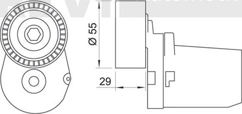 Trevi Automotive TA2003 - Tendicinghia, Cinghia Poly-V autozon.pro