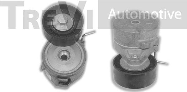 Trevi Automotive TA2162 - Tendicinghia, Cinghia Poly-V autozon.pro