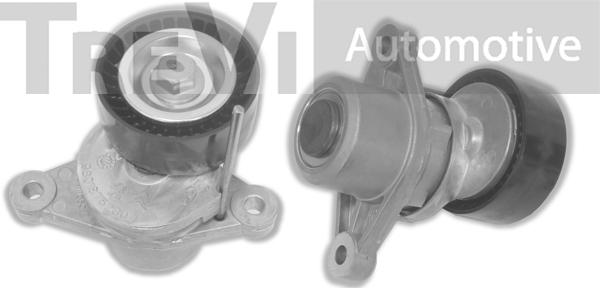 Trevi Automotive TA2183 - Tendicinghia, Cinghia Poly-V autozon.pro