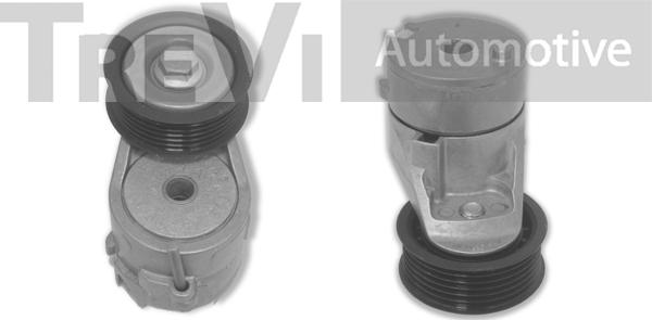 Trevi Automotive TA2174 - Tendicinghia, Cinghia Poly-V autozon.pro