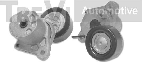 Trevi Automotive TA2263 - Tendicinghia, Cinghia Poly-V autozon.pro