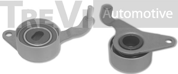 Trevi Automotive TD1124 - Rullo tenditore, Cinghia dentata autozon.pro