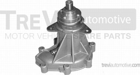 Trevi Automotive TP546 - Pompa acqua autozon.pro