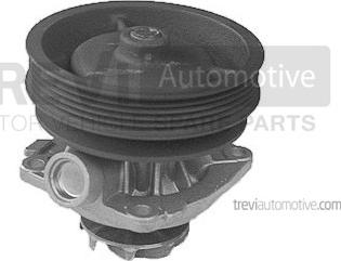 Trevi Automotive TP652 - Pompa acqua autozon.pro