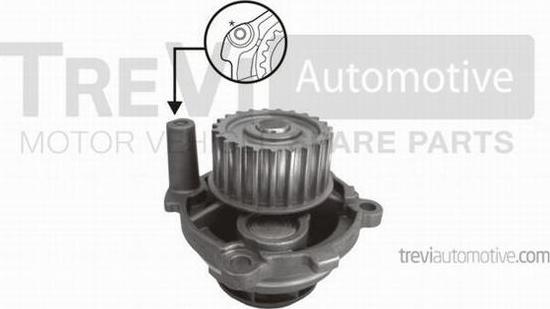 Trevi Automotive TP1004 - Pompa acqua autozon.pro