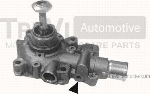 Trevi Automotive TP1013 - Pompa acqua autozon.pro