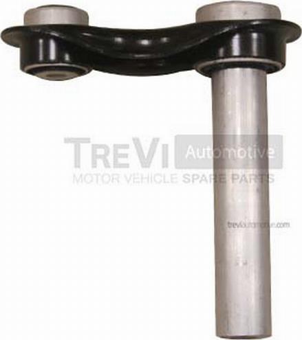 Trevi Automotive TRTT1613 - Braccio oscillante, Sospensione ruota autozon.pro