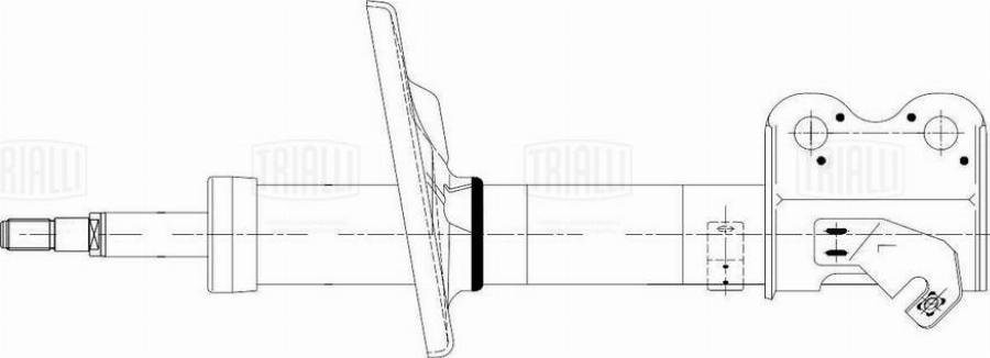 Trialli AG 19369 - Ammortizzatore autozon.pro