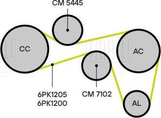 Trialli CM 5445 - Galoppino / Guidacinghia, Cinghia Poly-V autozon.pro