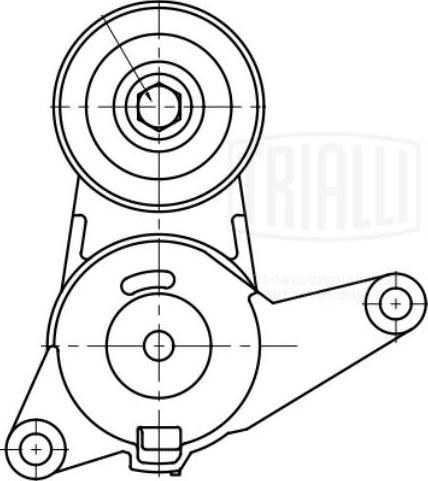 Trialli CM 5446 - Tendicinghia, Cinghia Poly-V autozon.pro