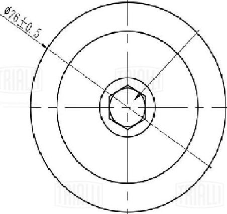 Trialli CM 5456 - Tendicinghia, Cinghia Poly-V autozon.pro