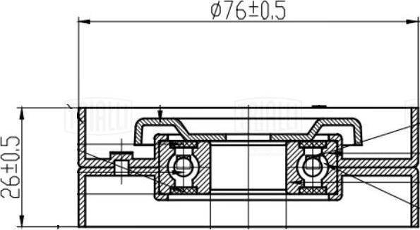 Trialli CM 5409 - Tendicinghia, Cinghia Poly-V autozon.pro