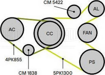 Trialli CM 5422 - Tendicinghia, Cinghia Poly-V autozon.pro