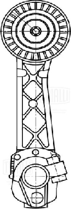 Trialli CM 5473 - Tendicinghia, Cinghia Poly-V autozon.pro