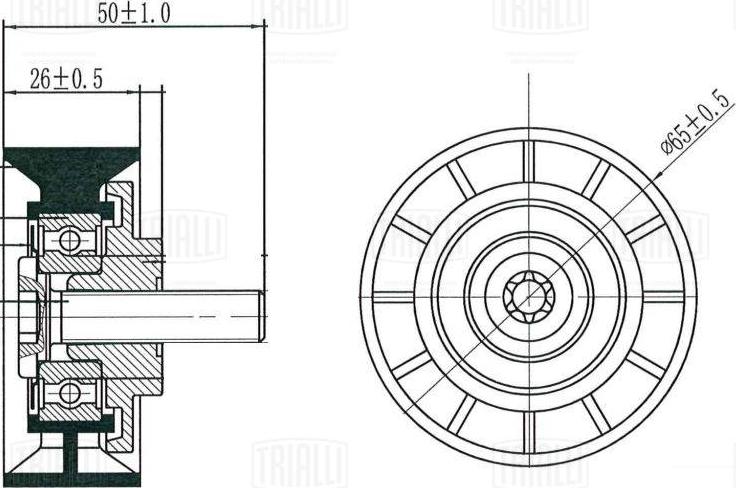 Trialli CM 5596 - Tendicinghia, Cinghia Poly-V autozon.pro