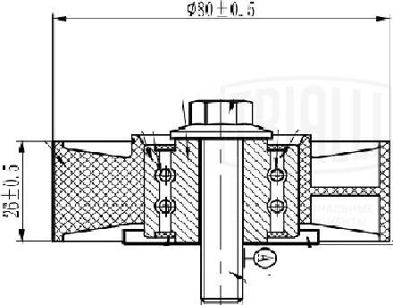 Trialli CM 5507 - Galoppino / Guidacinghia, Cinghia Poly-V autozon.pro