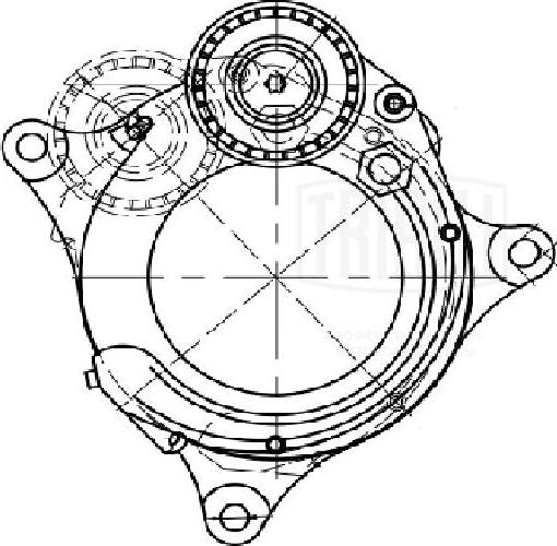 Trialli CM 5687 - Tendicinghia, Cinghia Poly-V autozon.pro