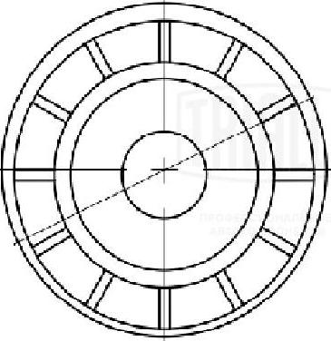 Trialli CM 5670 - Tendicinghia, Cinghia Poly-V autozon.pro