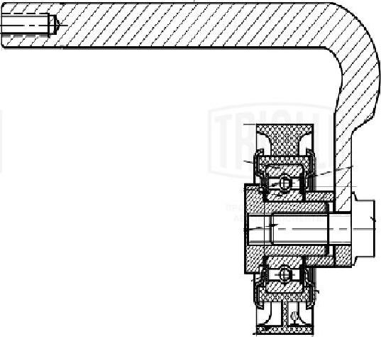 Trialli CM 5678 - Tendicinghia, Cinghia Poly-V autozon.pro