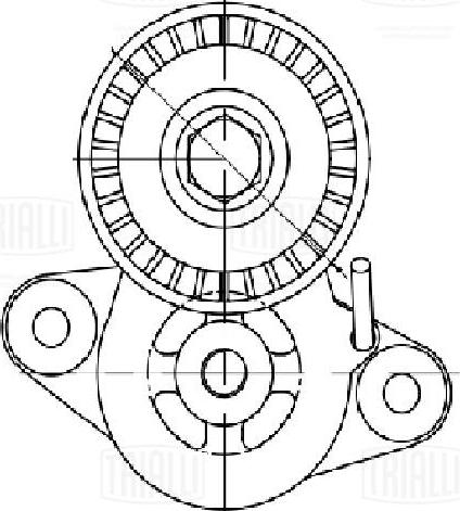 Trialli CM 5673 - Tendicinghia, Cinghia Poly-V autozon.pro