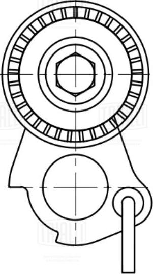 Trialli CM 5079 - Tendicinghia, Cinghia Poly-V autozon.pro