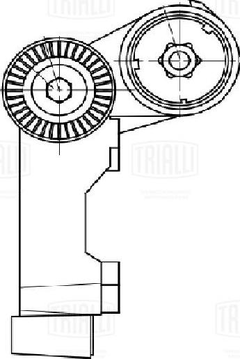 Trialli CM 5157 - Tendicinghia, Cinghia Poly-V autozon.pro