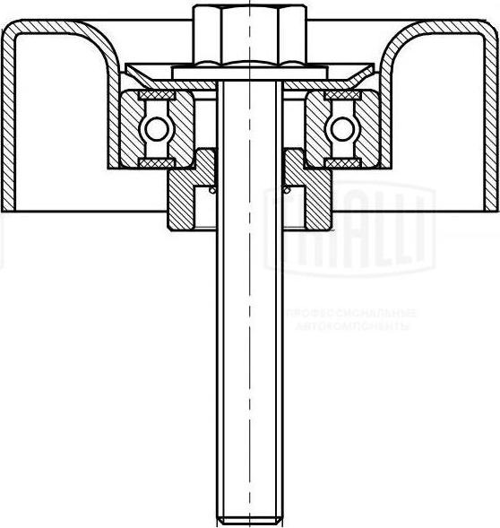 Trialli CM 5125 - Galoppino / Guidacinghia, Cinghia Poly-V autozon.pro