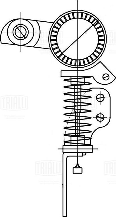 Trialli CM 5806 - Tendicinghia, Cinghia Poly-V autozon.pro