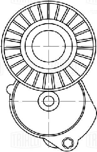 Trialli CM 5385 - Tendicinghia, Cinghia Poly-V autozon.pro