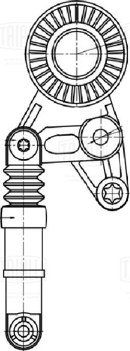 Trialli CM 5382 - Tendicinghia, Cinghia Poly-V autozon.pro