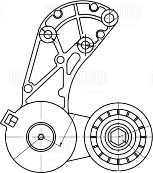 Trialli CM 5378 - Tendicinghia, Cinghia Poly-V autozon.pro