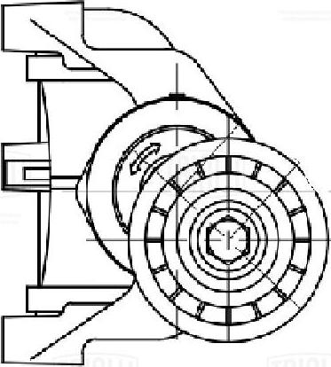 Trialli CM 5716 - Tendicinghia, Cinghia Poly-V autozon.pro